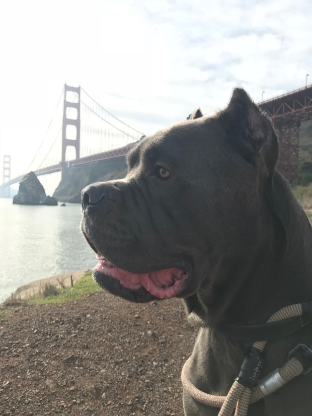 EPKDZ6ZyQiOl5oZ0gMUopQ